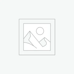 Bearings & Seals